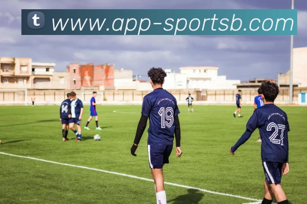 B体育平台生态图