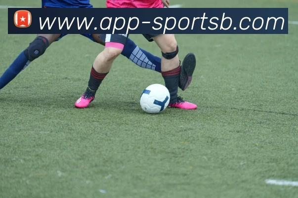 B体育APP 封面图